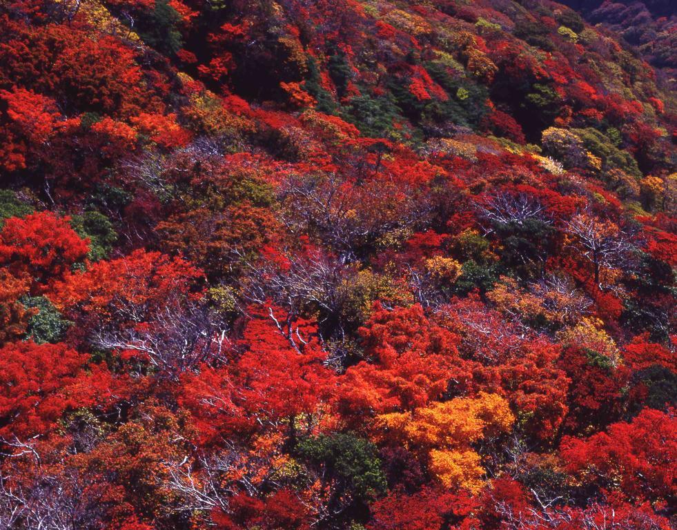 Yumoto Hotel Unzen Kültér fotó